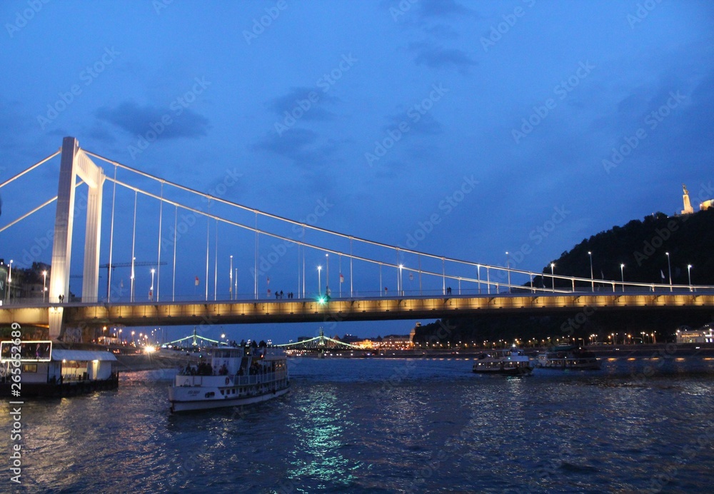 Bridge cross the river in the Budapest. Night landscape