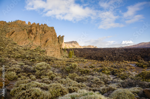 Landscape views in Teide National Park of Tenerife
