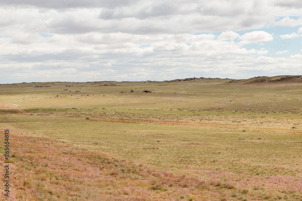 Mongolian steppe, desert landscape with cloudy sky Mongolian steppe, desert landscape with cloudy sky