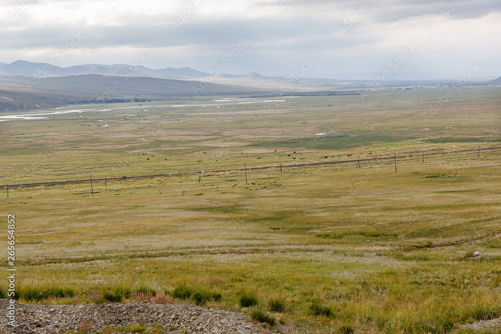 Mongolian Landscape of Orkhon Valley, Mongolian steppe, pastures and river