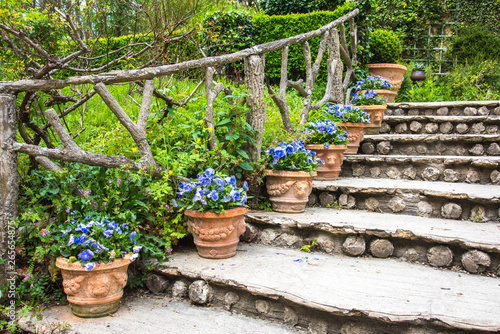 Stairway and Flower Pots