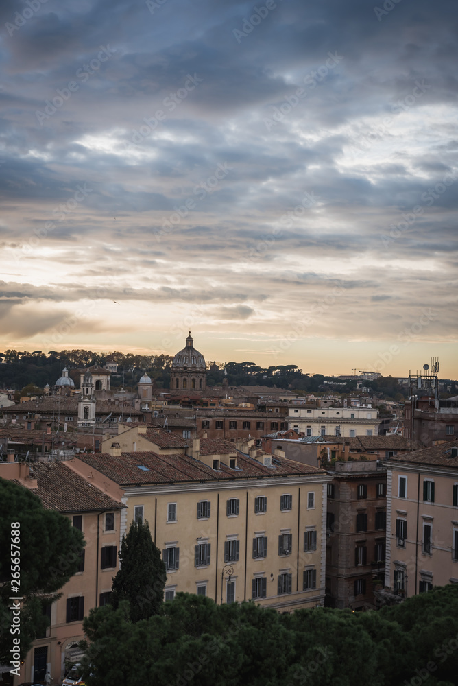 Vertical landscape on the city of Rome