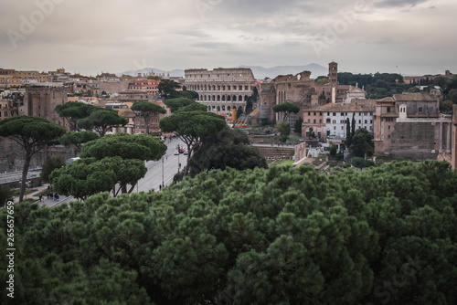 The ruins and the Colosseum of Rome with typical Tuscan trees from the monument Vittorio Emanuele II