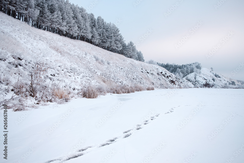 the hill covered with snow on top of trees grow all in frost the hill covered with snow on top of trees grow all in frost