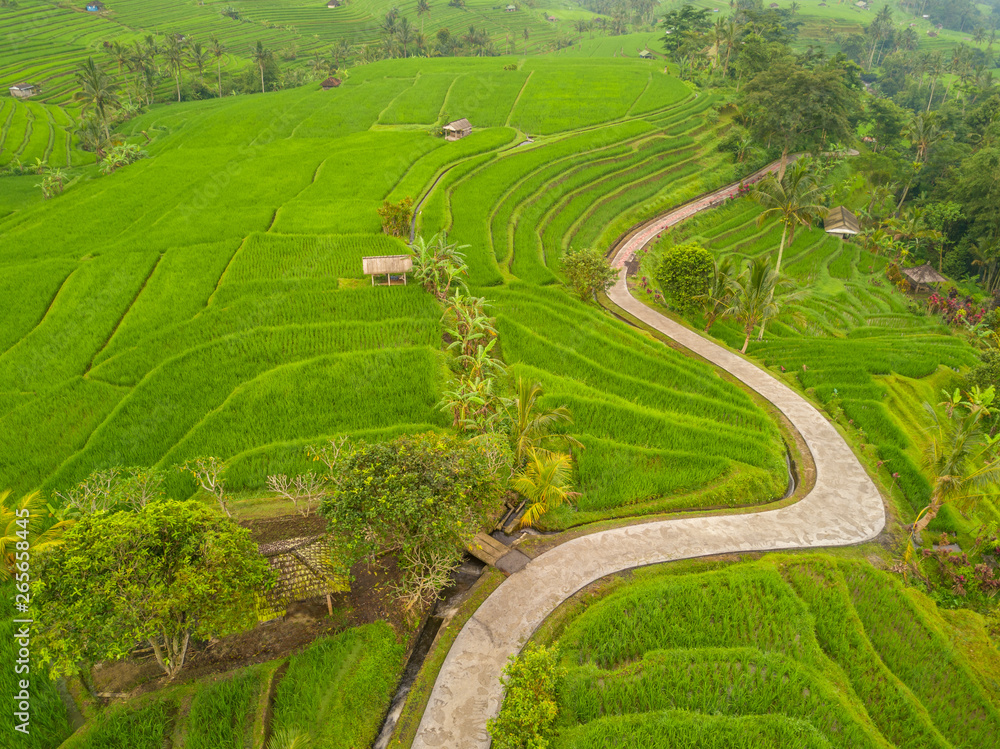 Winding Path between Rice Terraces. Aerial View