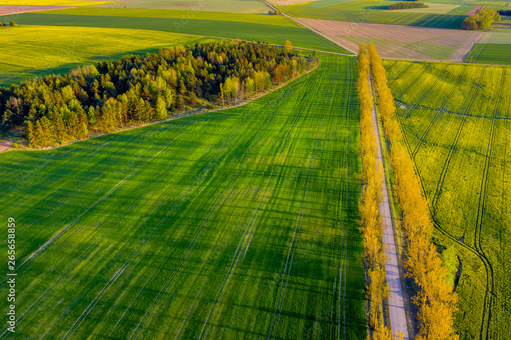 Aerial view of fields and meadows - obrazy, fototapety, plakaty 