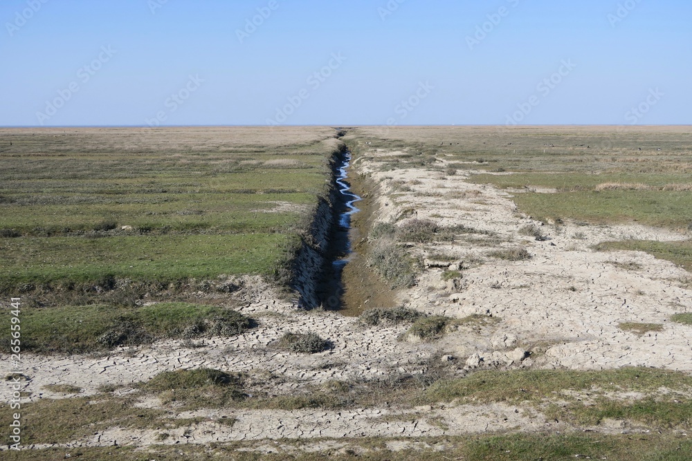 Φωτογραφία Wasserlauf und Salzwiesen vor dem Deich in Westerhever (Eiderstedt, Schleswig-Ho