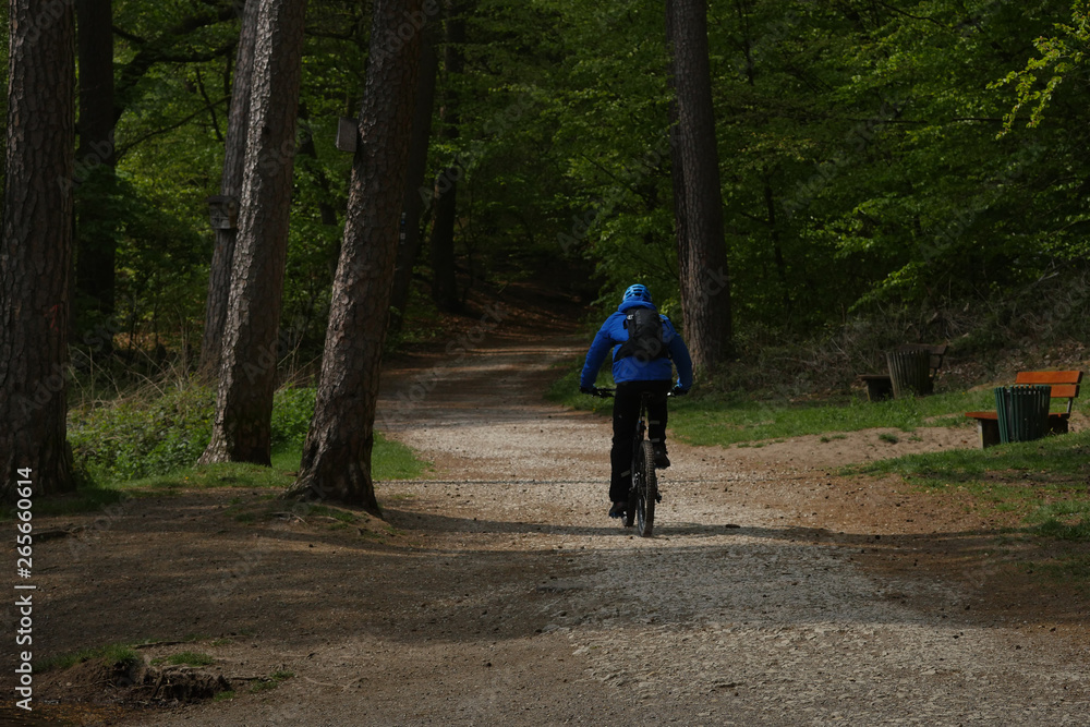 Fototapeta premium Biker am Donoperteich im Teutoburger Wald