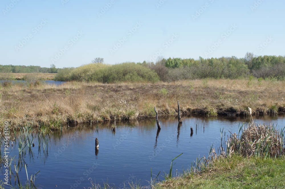 Moor;Torf;Naturschutzgebiet,sea,lake