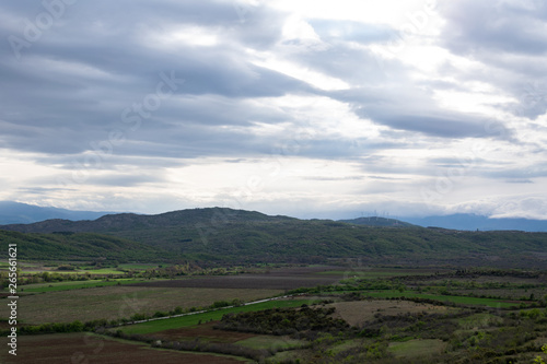 Spring in the mountains, fresh green vegetation.