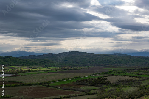 Spring in the mountains, fresh green vegetation.