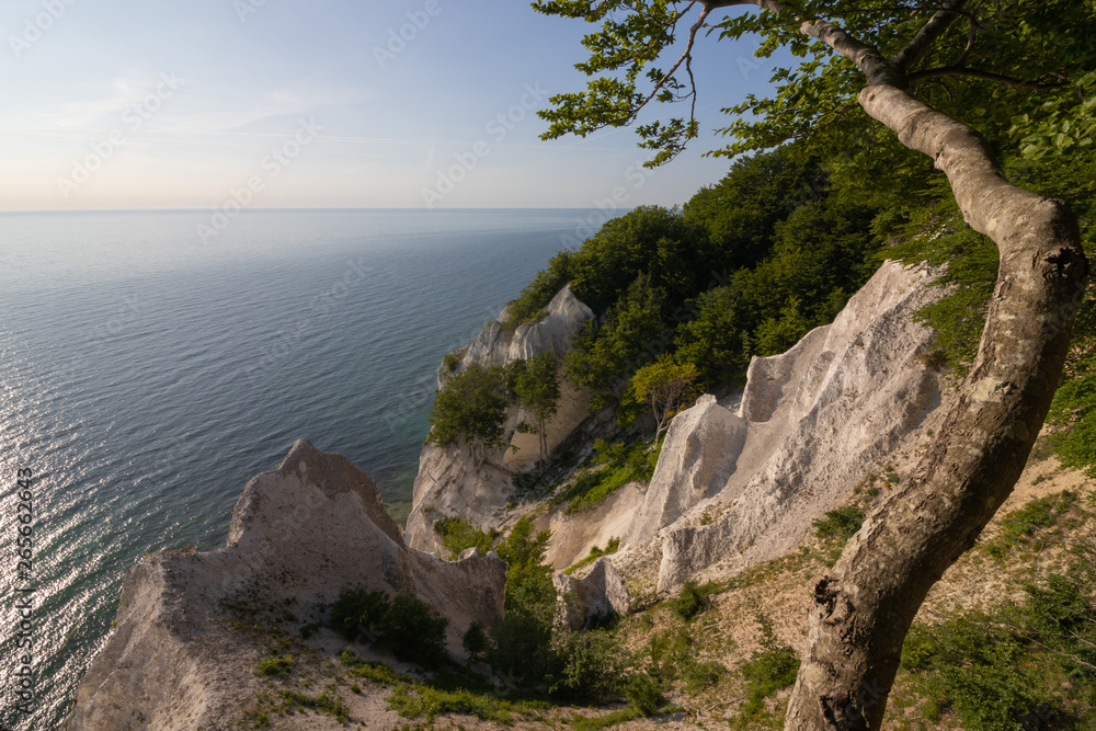 fantastic view to the white chalk cliffs of the Danisch island Mon