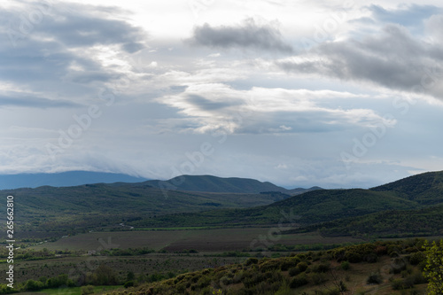 Spring in the mountains, fresh green vegetation.