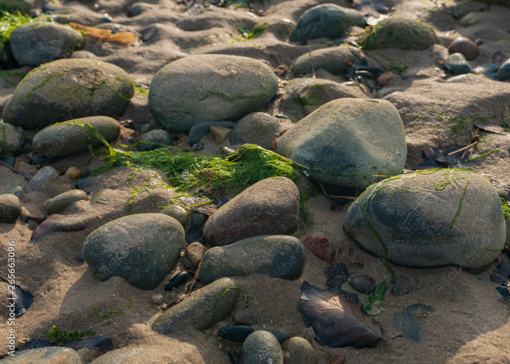 Obraz premium stone pebbles on the beach in sunset light