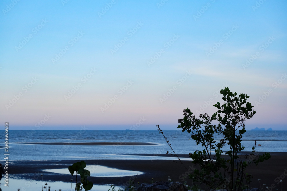 Silhouette tropical trees growing beside sea beach with a beautiful blue sky and travellers walking on the beach 