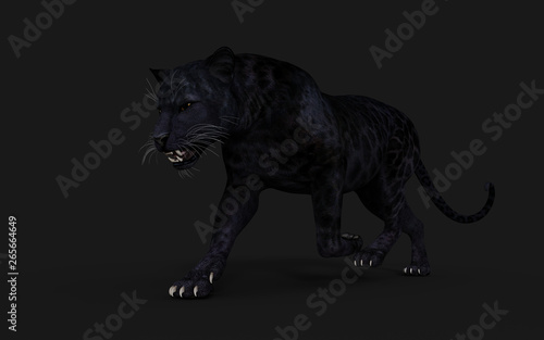 3d Illustration Black Panther Isolate on White Background with Clipping Path, Black Tiger