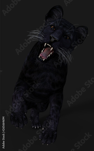 3d Illustration Black Panther Isolate on White Background with Clipping Path, Black Tiger photo