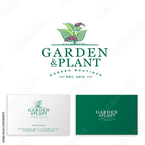 Beautiful logo for the garden and plants shop. Business Cards. Identity.