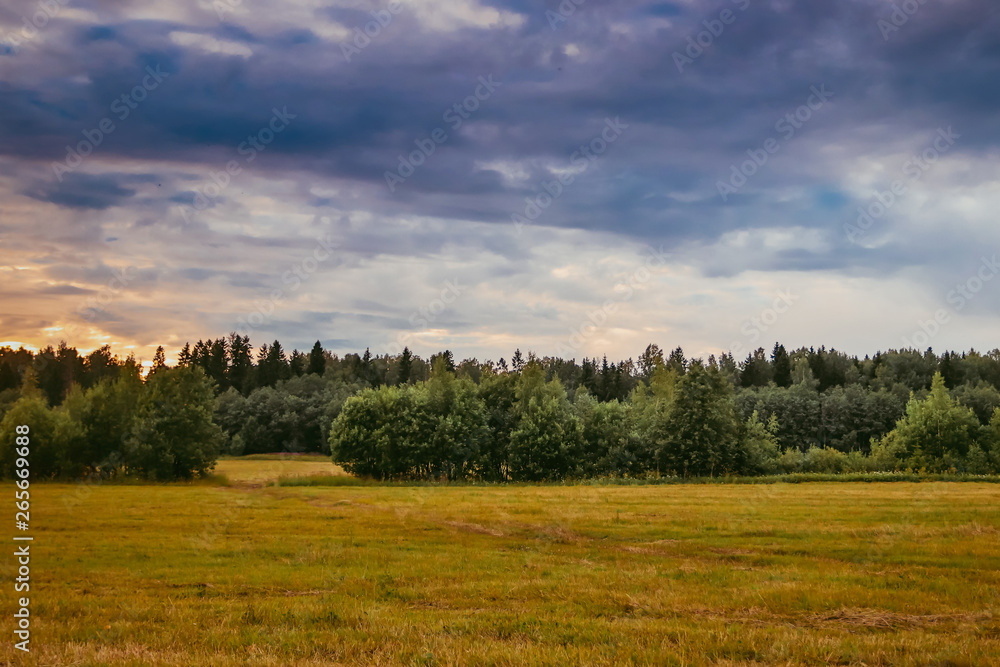 Summer field landscape. Russian open spaces. Field and sky field background Summer field landscape. Russian open spaces. Field and sky field background