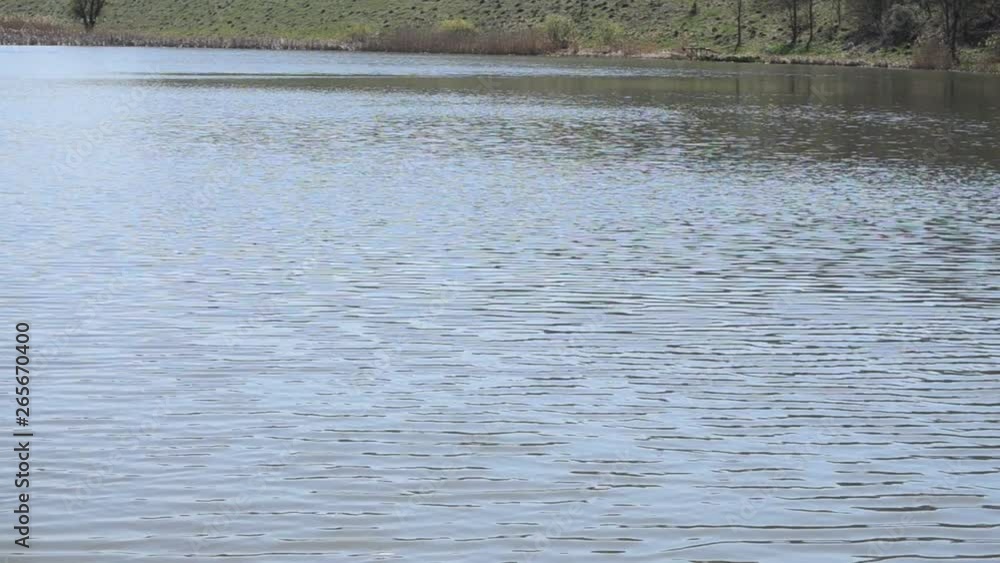 Video of sparkling water in the lake, background for blogs and websites Video of sparkling water in the lake, background for blogs and websites