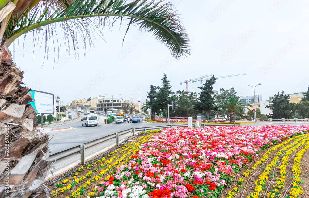 Fototapeta premium Flowers arrangement and roundabouts