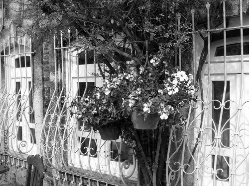 Blumenschmuck und Schmiedeeisen vor alten Fenstern eines Landhaus im Sommer in der Altstadt von Alacati bei Cesme am Ägäischen Meer in der Provinz Izmir in der Türkei in klassischem Schwarzweiß photo