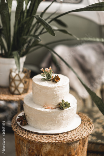 Elegant white wedding cake with flowers and succulents, Vintage style. Wedding cake in rustic style