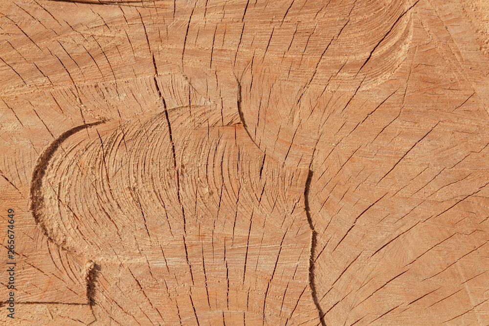 Fototapeta premium The texture of freshly cut wood. Annual rings and cracks in the old tree. Horizontal seamless wooden background. Texture in high resolution. Color image.