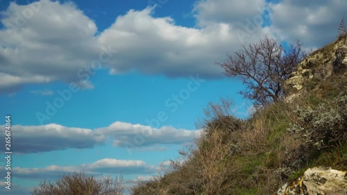 Branches of trees and bushes move in the wind on wild nature hill under cloudy blue sky in steady skyline view