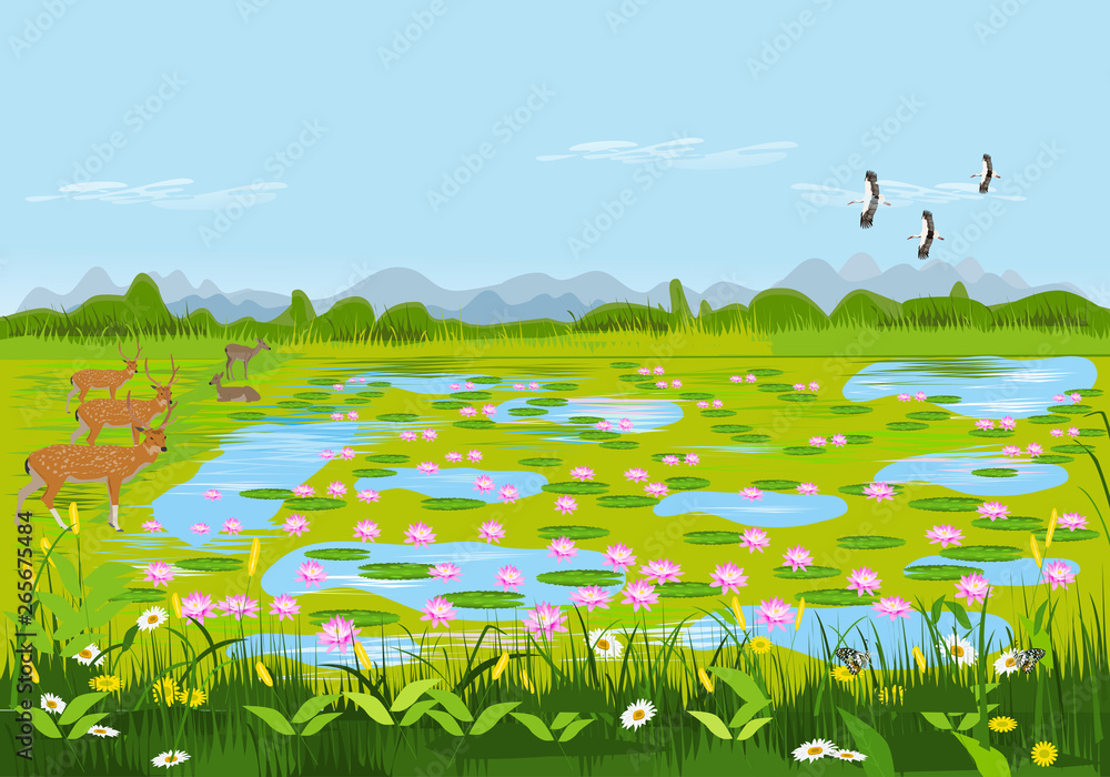 View of the lotus pond with deer and flowers. There are forests and mountains as background.