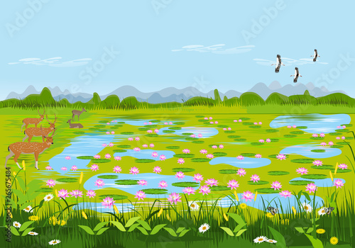 View of the lotus pond with deer and flowers. There are forests and mountains as background.