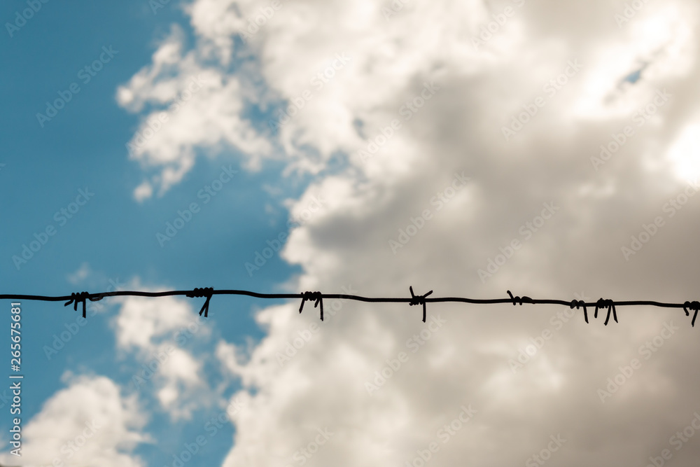 The barbed wire with cloudy sky. concept of forbidden zone, war and military base, copy space for text. The barbed wire with cloudy sky. concept of forbidden zone, war and military base, copy space for text.