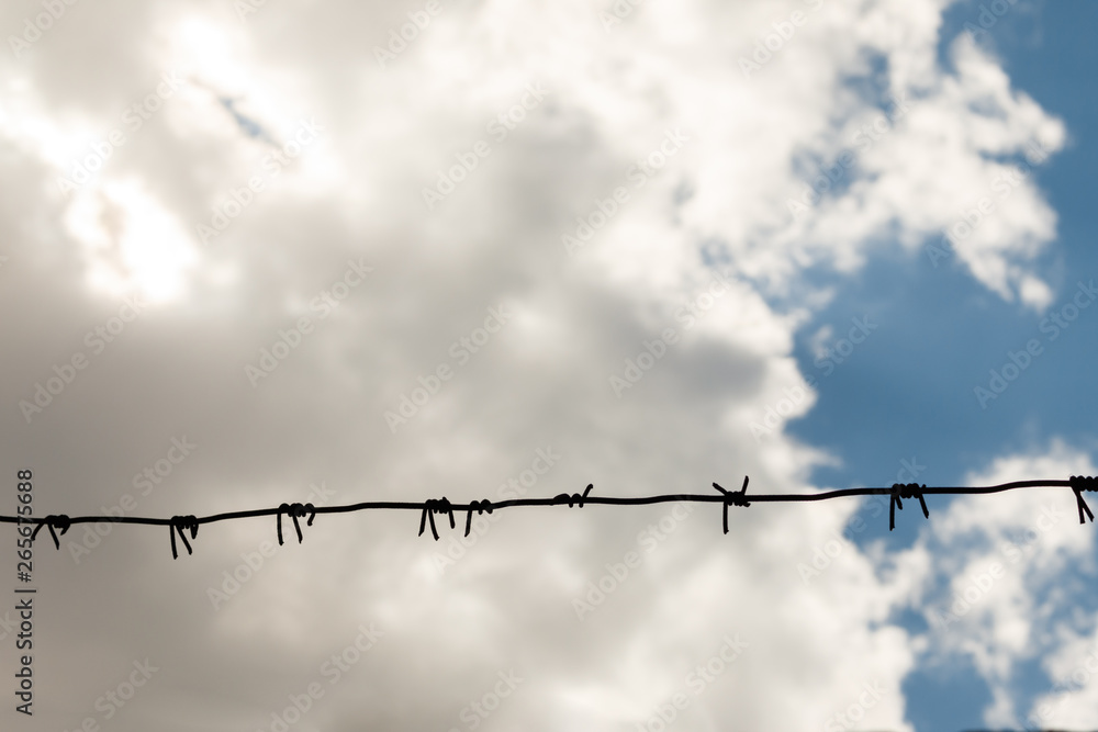 barbed wire against cloudy sky. Imprisonment concept. wire with clusters of short, sharp spikes set at intervals along it, used to make fences or in warfare as an obstruction. barbed wire against cloudy sky. Imprisonment concept. wire with clusters of short, sharp spikes set at intervals along it, used to make fences or in warfare as an obstruction.