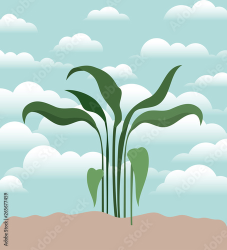 plant of garden planted