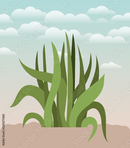 plant of garden planted