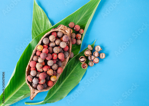 Corozo fruit in cocoa cob bowl. Bactris guineensis. photo