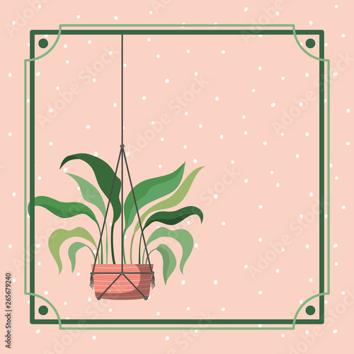 frame with houseplant hanging in macrame