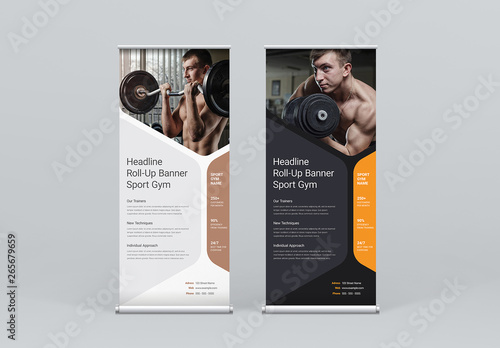 Roll-Up Banner Layout with Soft Shape Elements