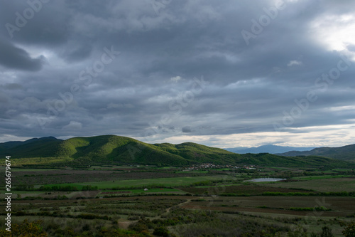 Spring in the mountains, fresh green vegetation.