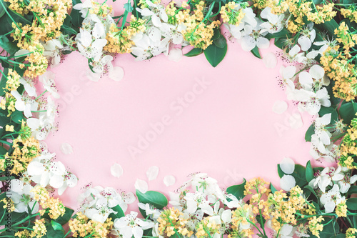 Spring summer festive blooming with white flowers fruit tree branches and yellow frame on pink. Flat lay with copy space