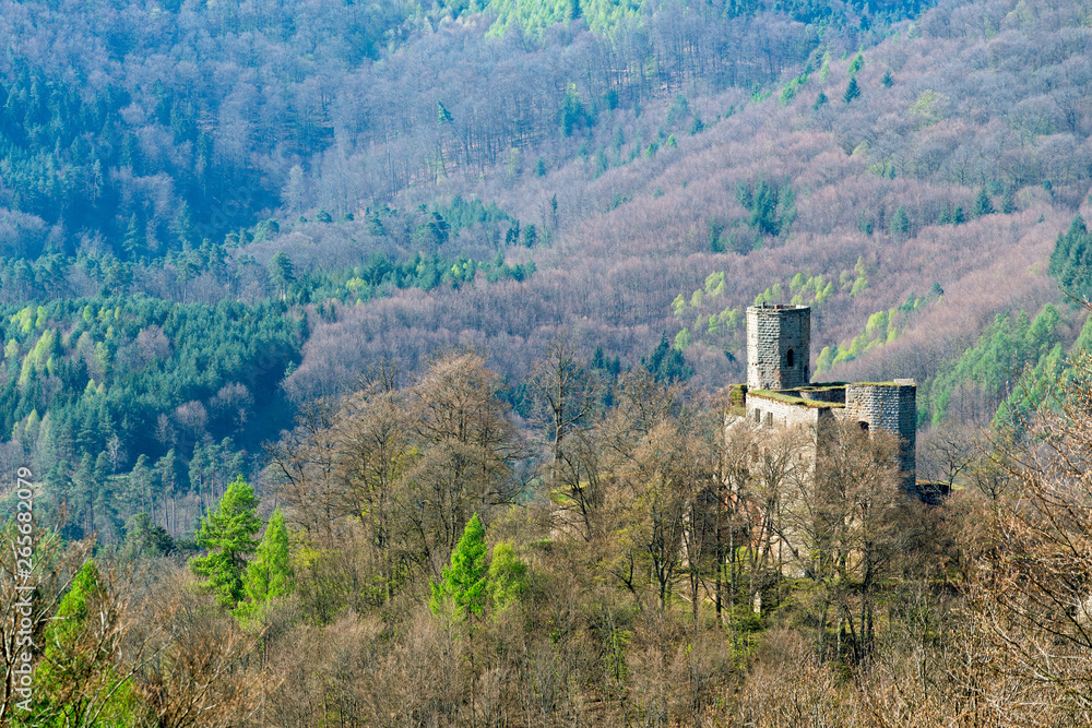 Fototapeta premium Burg Gräfenstein
