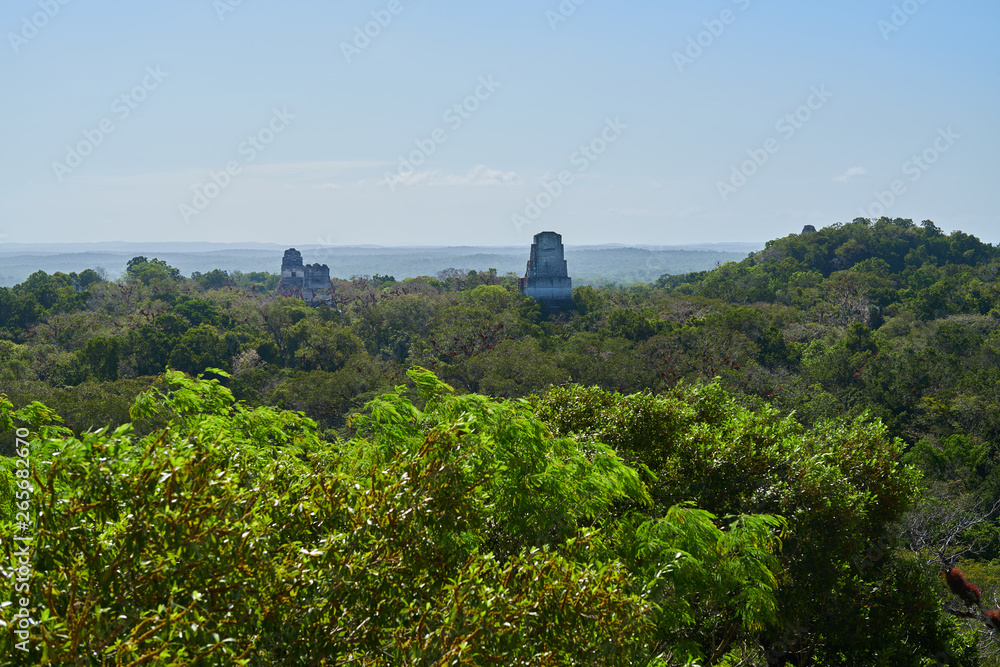 View on the ancient Temples amongst of the tropical jungle, Tical, Guatemala. View on the ancient Temples amongst of the tropical jungle, Tical, Guatemala.