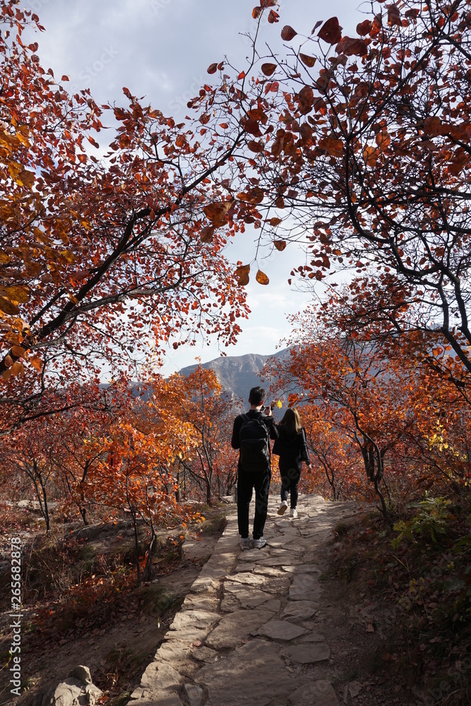 A man and a woman walking down a road at Pofengling hill, Beijing, surrounded by red leaves in autumn