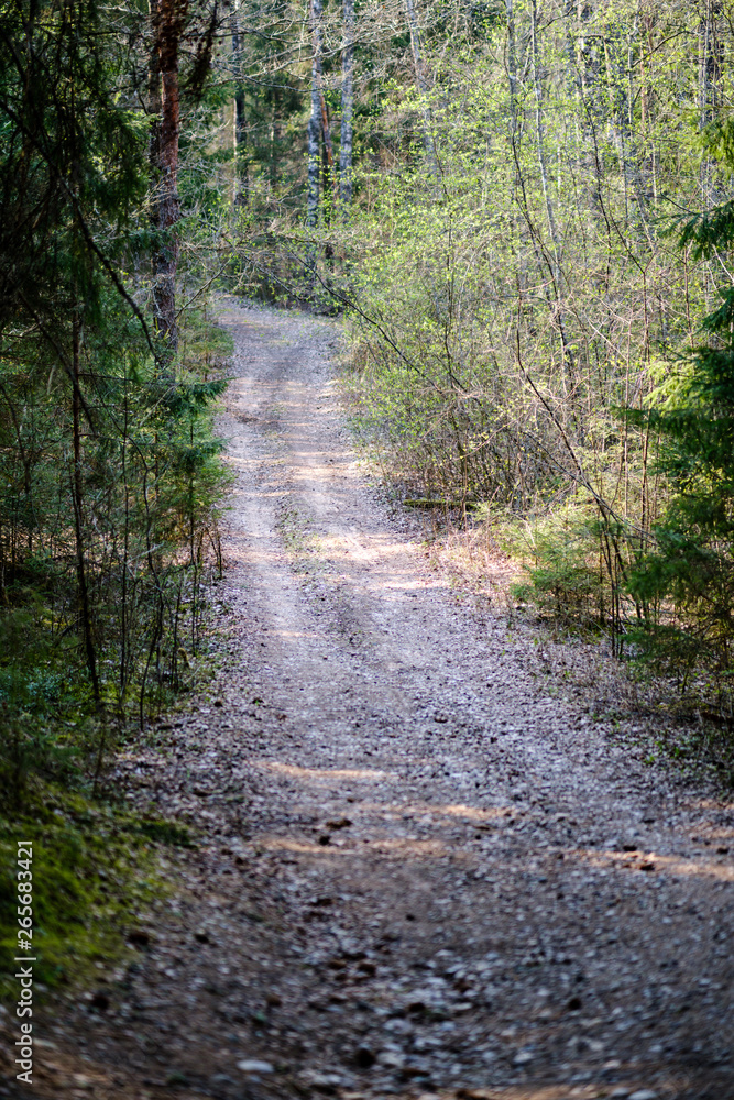 Obraz premium beautiful gravel road in countryside