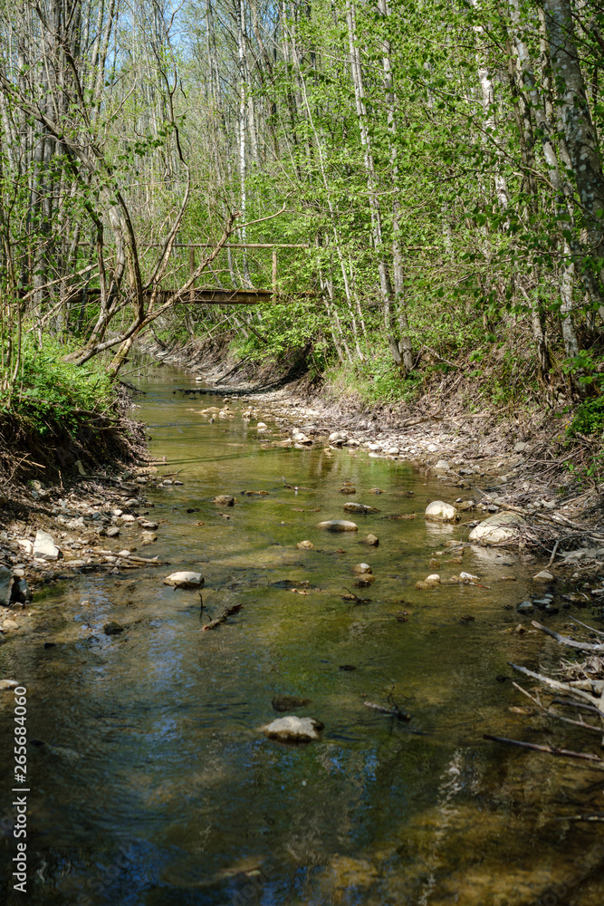 rock covered river bed in forest with low water level rock covered river bed in forest with low water level