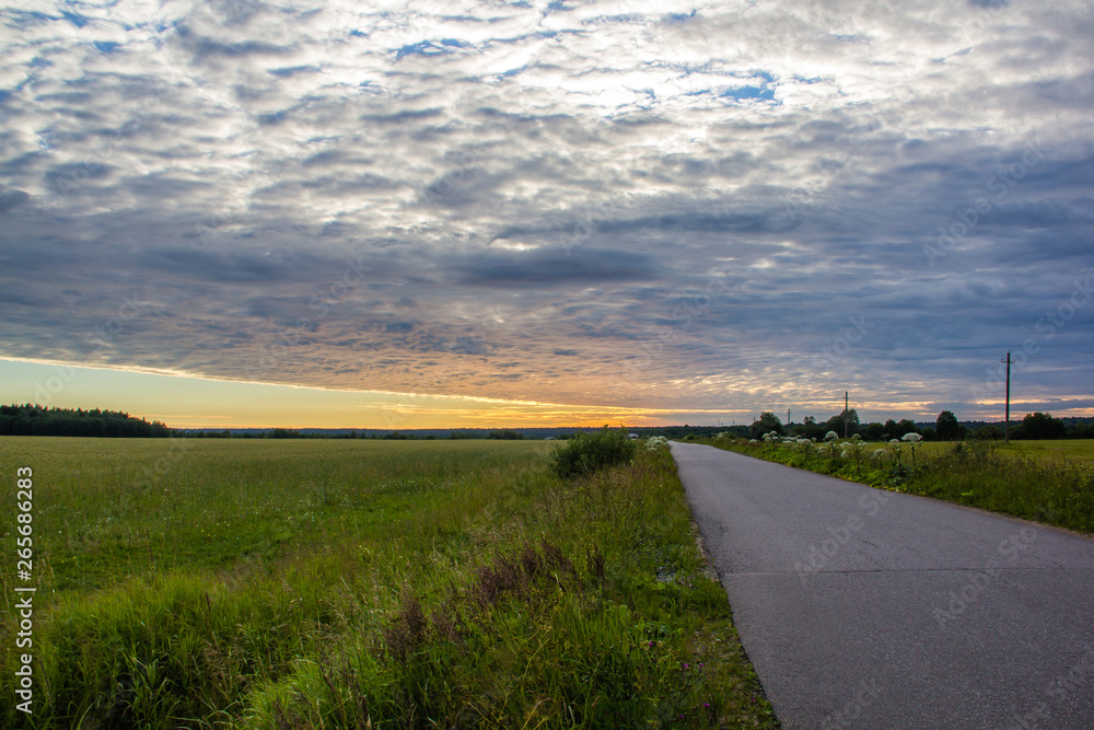 Road in the field at sunset. Summer field. Asphalt road. Summer landscape. Russian roads.