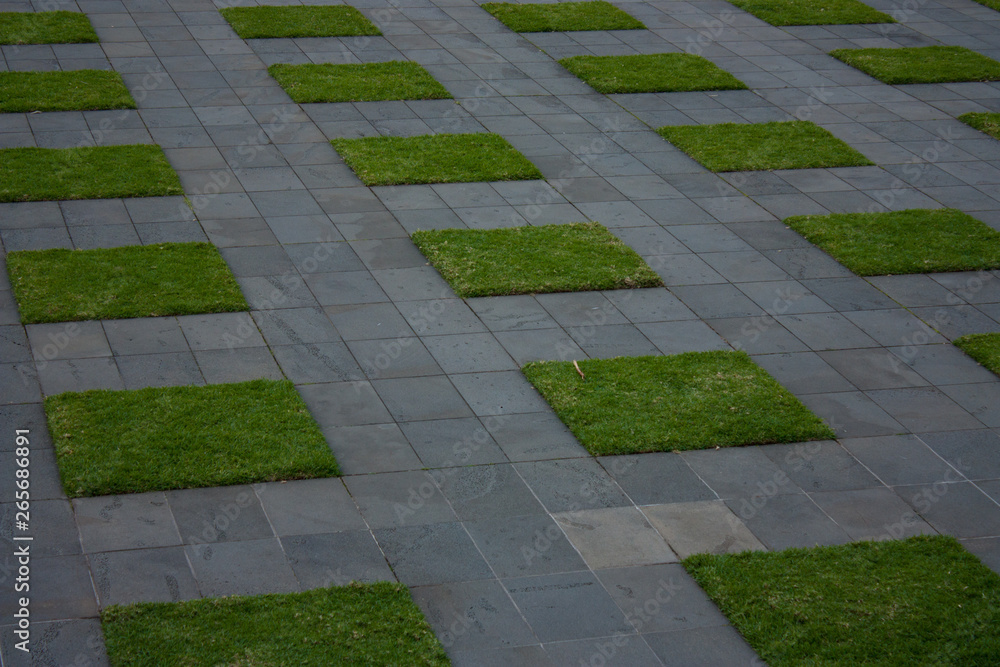 A pathwalk with grassy rectangular patches in Melbourne