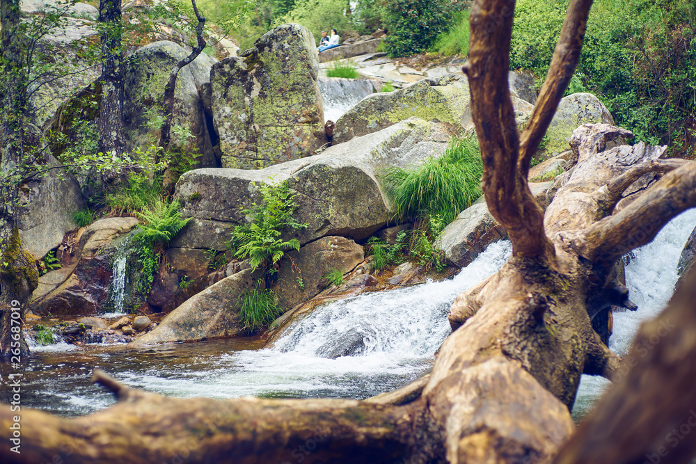 Fototapeta premium River landscape with waterfall and a fallen tree trunk inside the water