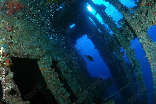 Shipwreck of the SS Carnatic, Red Sea, Sharm El Sheikh, Egypt, Africa photo