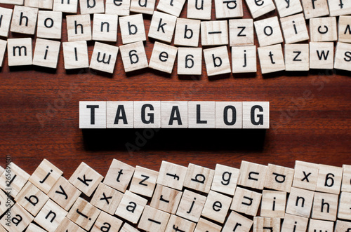 Tagalog word concept on cubes photo